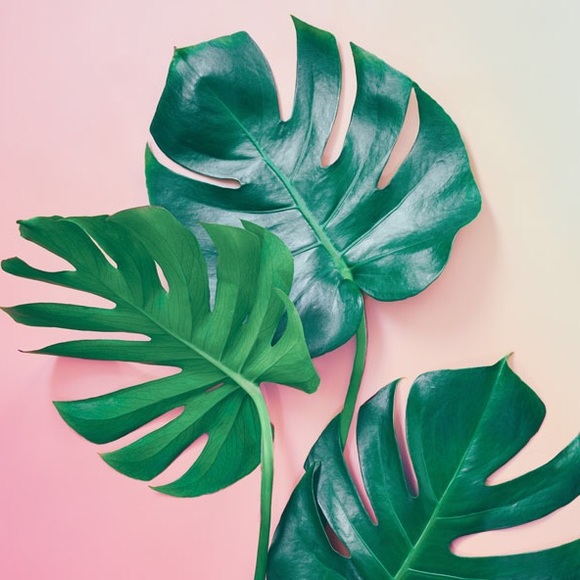 Meet your Posher! 💋 - Picture 1 of 1